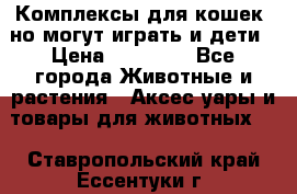Комплексы для кошек, но могут играть и дети › Цена ­ 11 900 - Все города Животные и растения » Аксесcуары и товары для животных   . Ставропольский край,Ессентуки г.